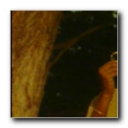 tamil movie Dalapathi